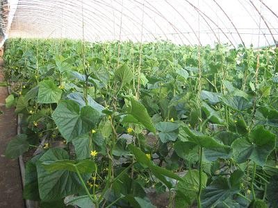 2010091303