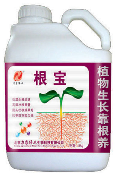 根宝(生根类)